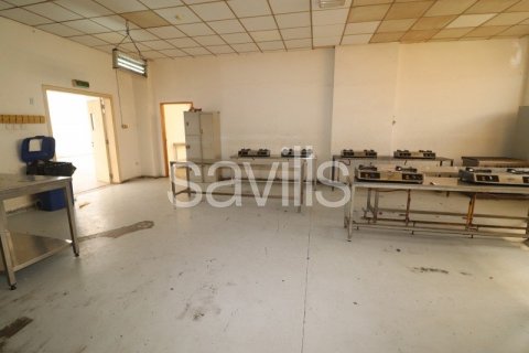 Kampi i Punës në Ajman, Emiratet e Bashkuara Arabe 3750 m2. № 74365 - Foto 7