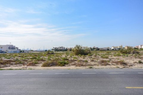 قطعة أرض للبيع في Al Muhaisnah، دبي، الإمارات العربية المتحدة 18546.73 متر مربع ، رقم 18286 - photo 14