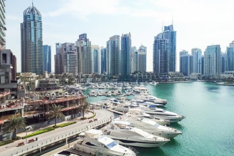 Developerský projekt v Dubai Marina, SAE Č.: 8194 - fotografie 16