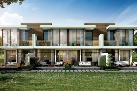 Basswood - fotografie 4