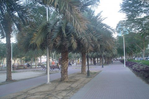 Al Jafiliya - fotografie 3