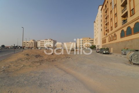 Pozemek v Sharjah, SAE 2385.9 m² Č.: 74363 - fotografie 10