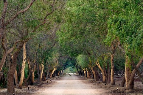 Pozemek v Abu Dhabi, SAE 2000 m² Č.: 67959 - fotografie 4