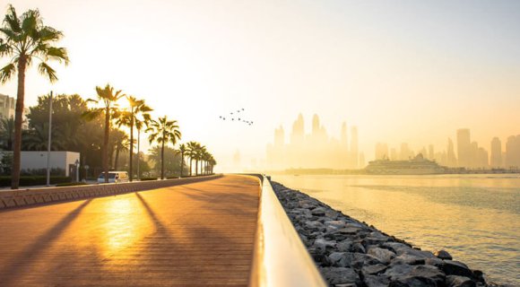 Statistics of real estate sales in UAE by representatives of France