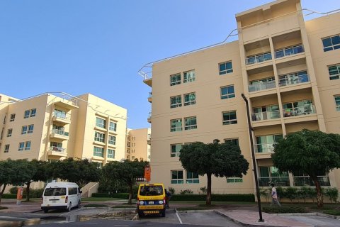 Al Dhafra - foto 4