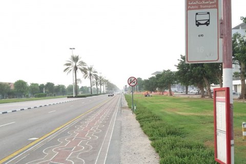 Nad Al Sheba 1 - foto 4