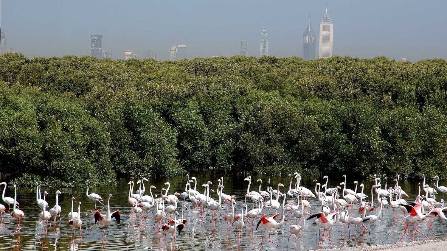 Ras Al Khor Emirates Estate Ras Al Khor Emirates Estate