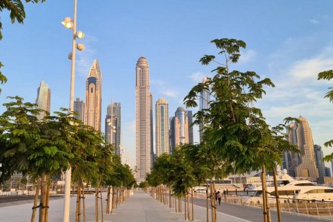 Dubai Harbour - pilt 11
