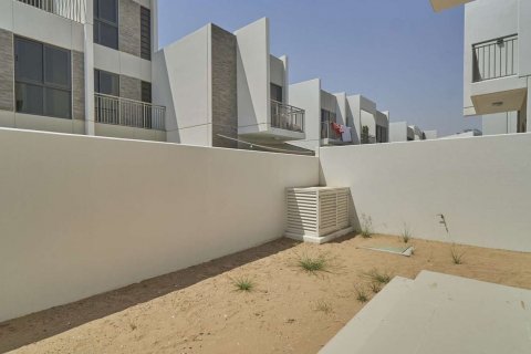 Aster - pilt 5