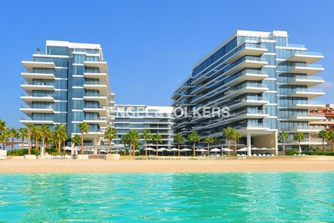 آپارتمان برای فروش در  Palm Jumeirah، Dubai، امارات متحده عربی  1 خوابه ، 98.01 متر مربع ، شماره 28331 - تصویر 13