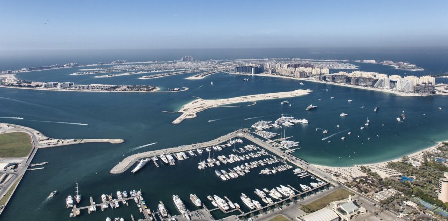 Penthouse à Dubai Marina, Dubai, EAU: 5 chambres, 12000 m2 № 8011