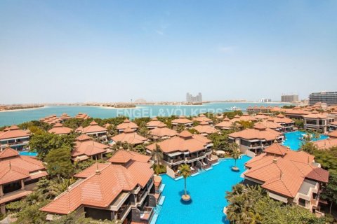 דירה להשכרה ב Palm Jumeirah, Dubai, איחוד האמירויות  1 חדר שינה, 142.60 מ"ר, מספר 18413 - תמונה 12