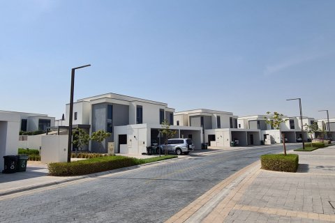 Maple 3 - תמונה 4