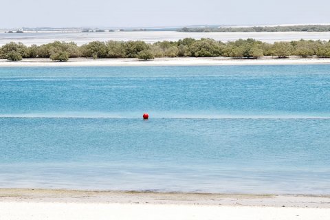 וילה למכירה ב Saadiyat Island, Abu Dhabi, איחוד האמירויות  7 חדרי שינה, 1210 מ"ר, מספר 79479 - תמונה 16