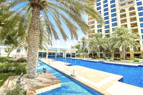 Palm Jumeirah, Dubai, संयुक्त अरब अमीरात में अपार्टमेंट, 3 बेडरूम, 234.5 वर्ग मीटर, संख्या 42885 - फ़ोटो 11