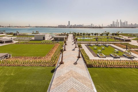 THE 8 में Palm Jumeirah, Dubai,संयुक्त अरब अमीरात में डेवलपमेंट प्रॉजेक्ट, संख्या 46850 - फ़ोटो 4