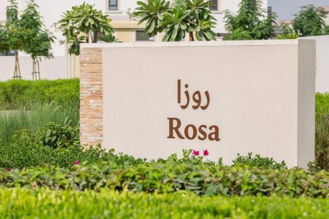 Rosa - Slika 5