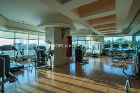 Apartemen di Dubai Marina, UEA 585.28 m2 nomor 18376 - foto 19