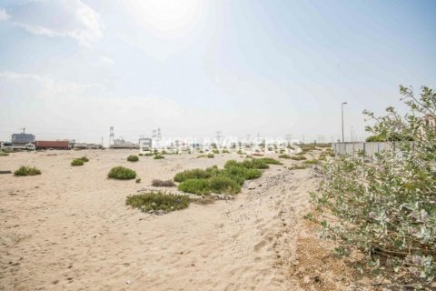 Tanah di International City, Dubai, UEA 4778.24 m2 nomor 18251 - foto 6