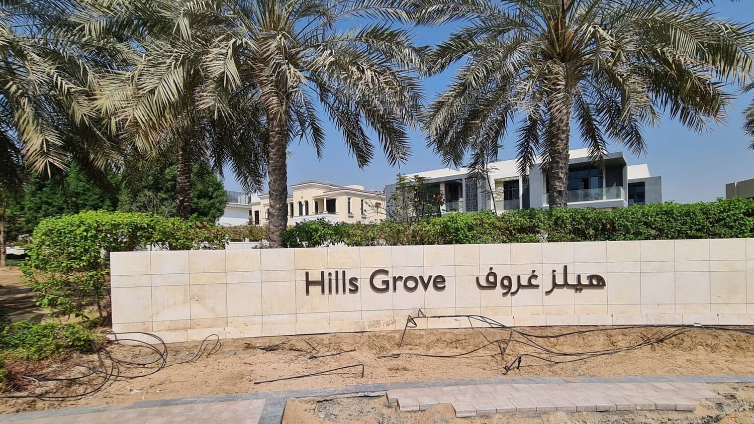 HILLS GROVE