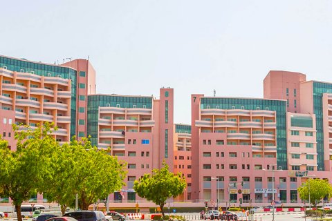 Discovery Gardens - 写真 2