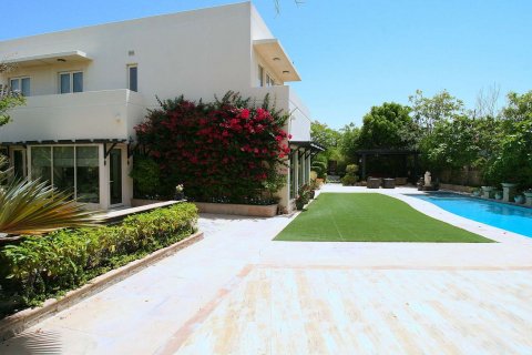 Saheel - фото 6