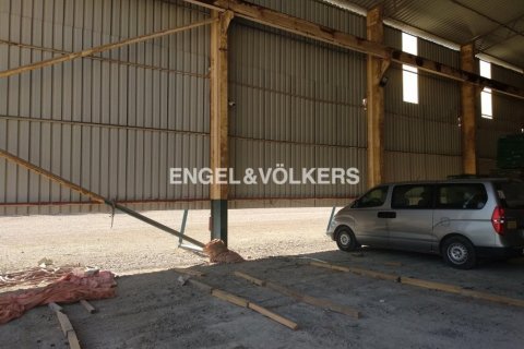 Lager til salgs i Deira, Dubai, Emiratene 11359.25 kvm Nr. 18157 - Foto 16