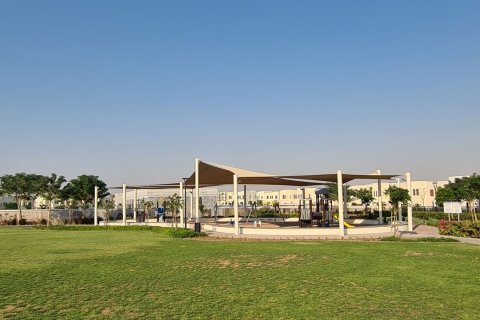 Mira Oasis 3 - zdjęcie 8