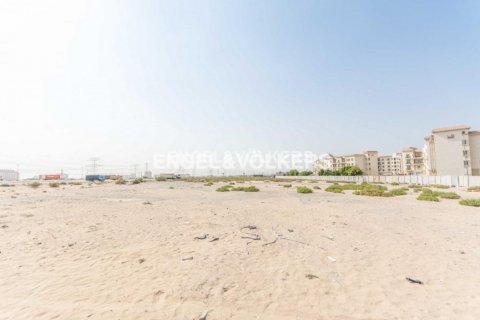Terra para venda em International City, Dubai, EAU 4778.24 m2 № 18251 - foto 7