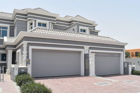 Falcon City of Wonders - poză 5