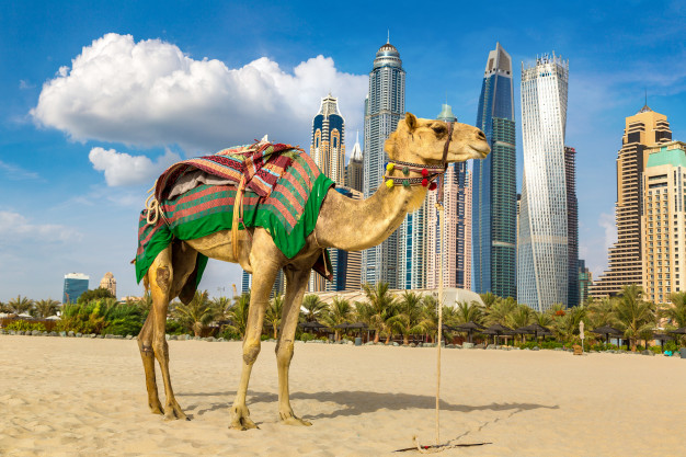 Дубайские застройщики сообщают о резком росте спроса на недвижимость со стороны израильских инвесторов
