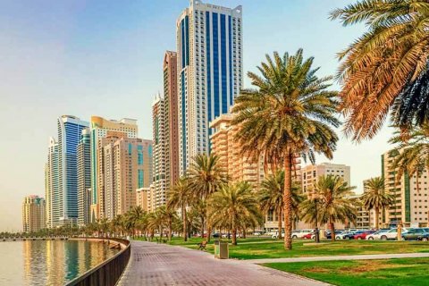 Жизнь в ОАЭ: Особенности и необычные факты о стране, законах, недвижимости и расходах на проживание