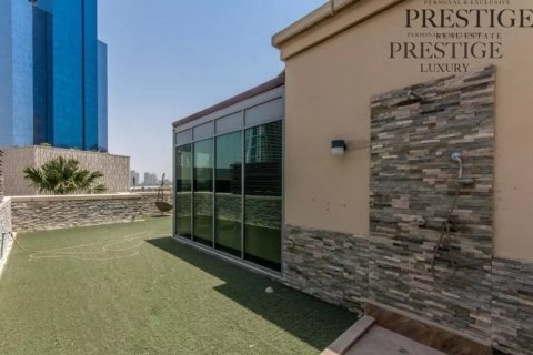 Vila v Dubai Marina, SAE 4 spálne, 423 m2 č. 53961 - Fotografia 11