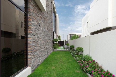 Picadilly Green - Fotografia 4