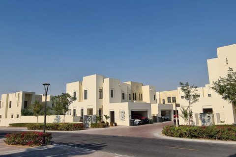 Mira Oasis - Fotografia 7