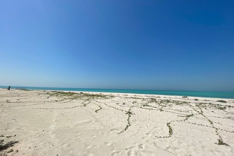Vila na Saadiyat Island, Abu Dhabi, SAE 7 spální, 1207 m2 č. 81012 - Fotografia 1