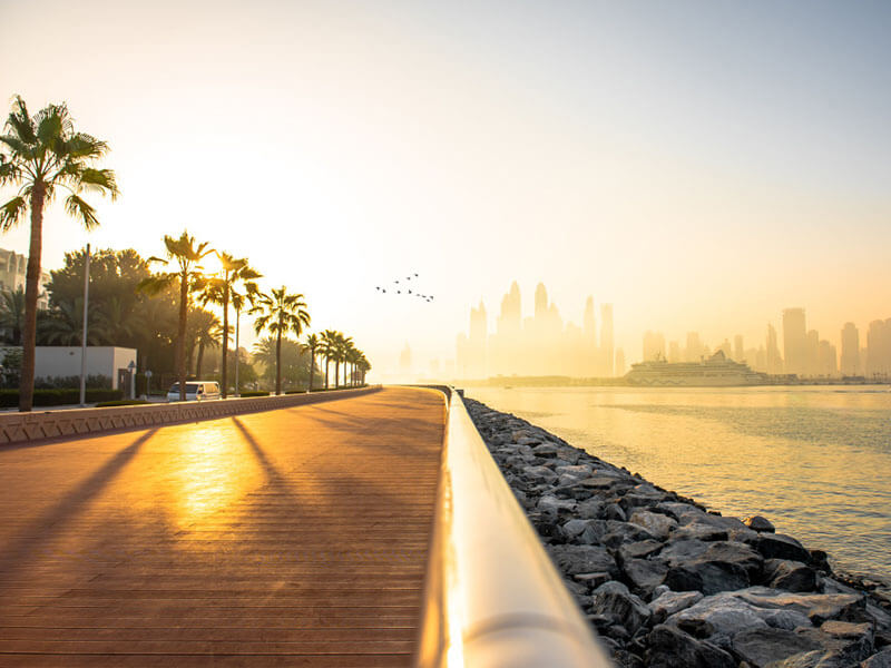 Statistics of real estate sales in UAE by representatives of France