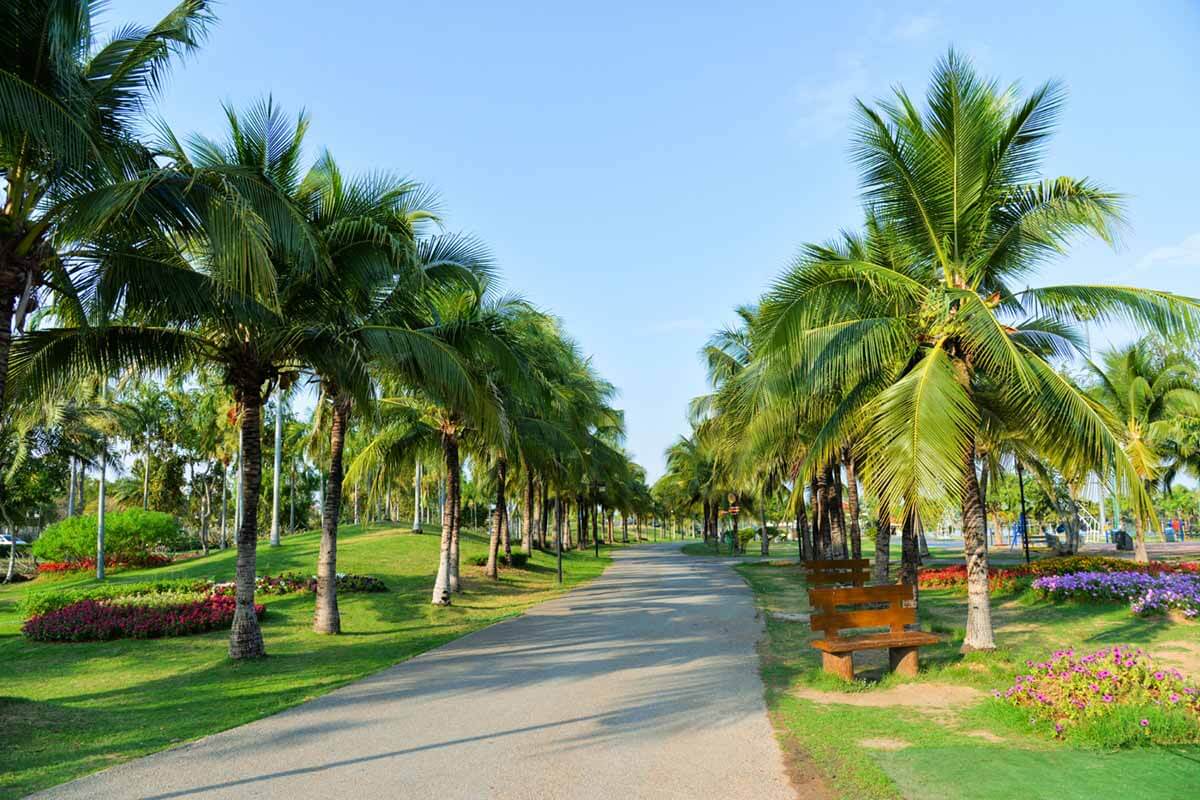 Dubai’s 4 Greenest and Most Lush Neighborhoods