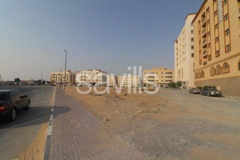 Land in Sharjah, UAE 2385.9 sq.m. № 74363 - photo 6