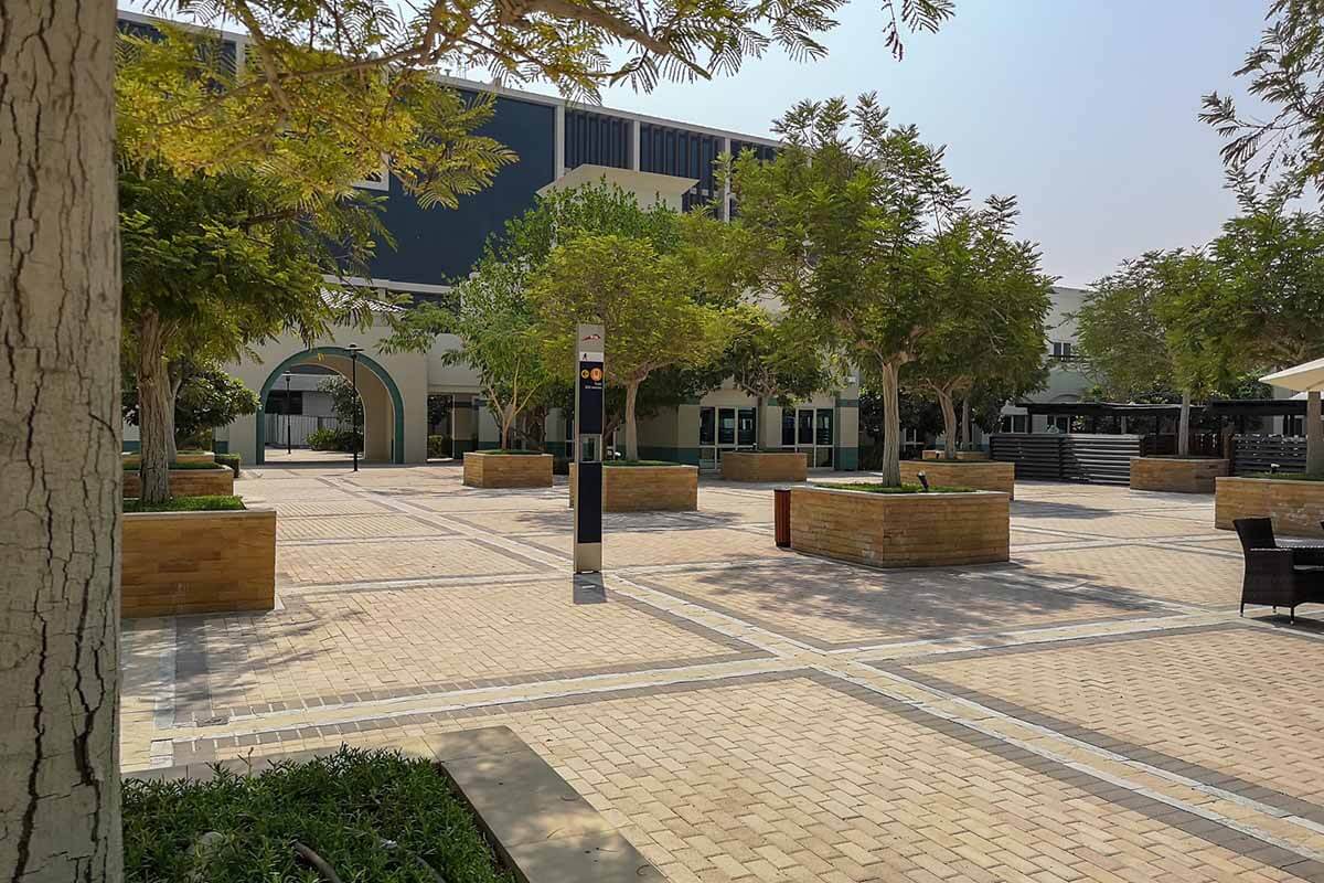 Education in the UAE: preschool, secondary, higher