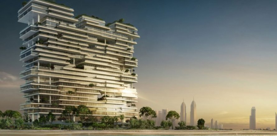 阿联酋 Dubai Palm Jumeirah 顶层豪华公寓  3 卧, 300 平方米 , 编号 6677