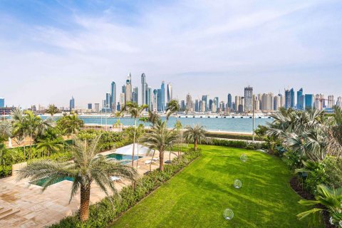 阿联酋 Dubai Palm Jumeirah 开发项目 XXII CARAT  , 编号 61538 - 照片 5